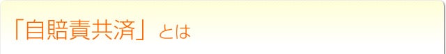 自賠責共済とは